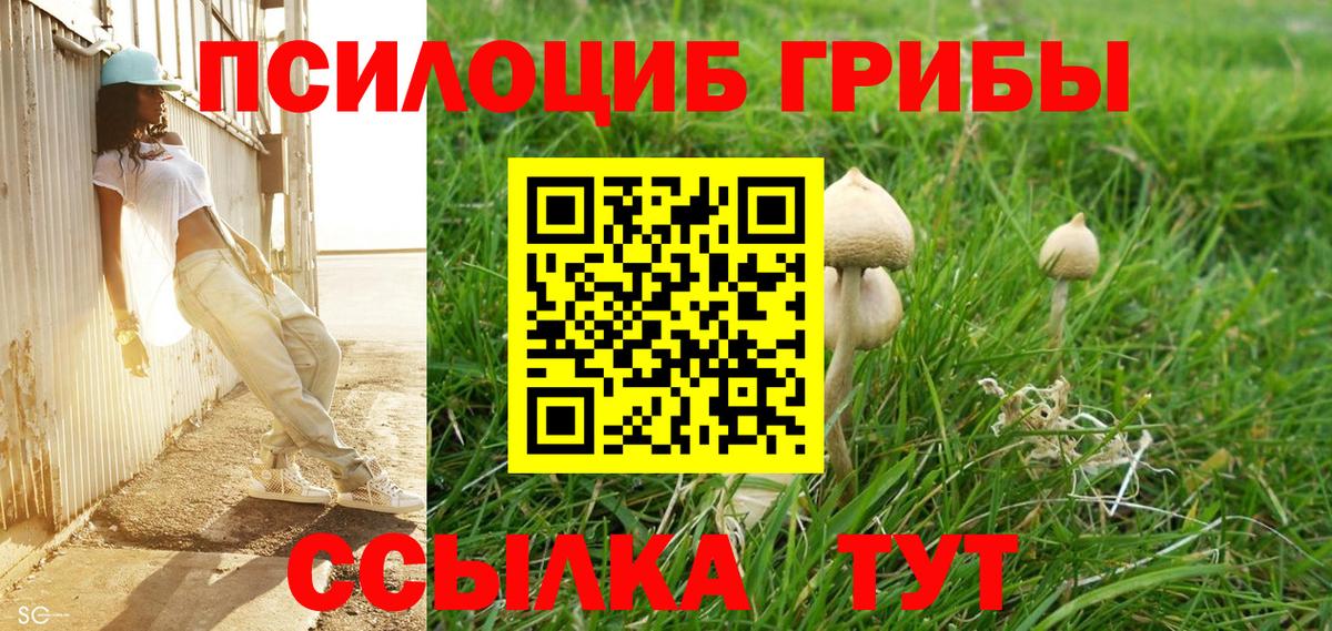 Псилоцибиновые грибы Magic Shrooms Братск