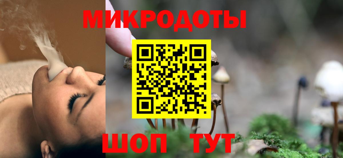 Галлюциногенные грибы Psilocybine cubensis  купить наркотик  Братск  Вход с VPN 